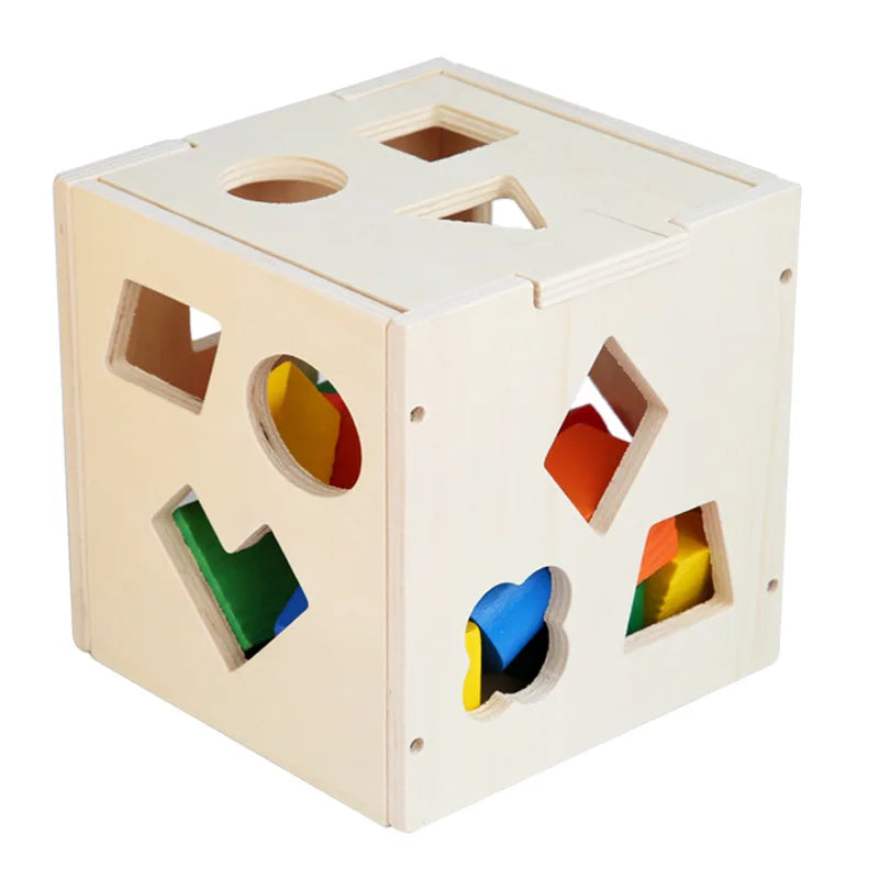 Montessori 15 Hole Intelligence Wooden Blocks Box