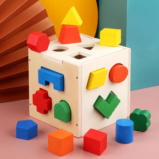 Montessori 15 Hole Intelligence Wooden Blocks Box