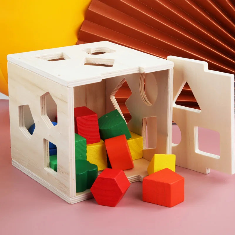 Montessori 15 Hole Intelligence Wooden Blocks Box