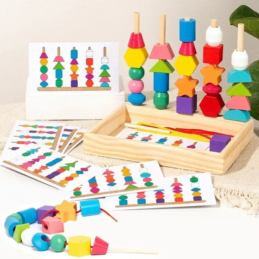 Montessori Wooden Color Shape Matching Puzzle