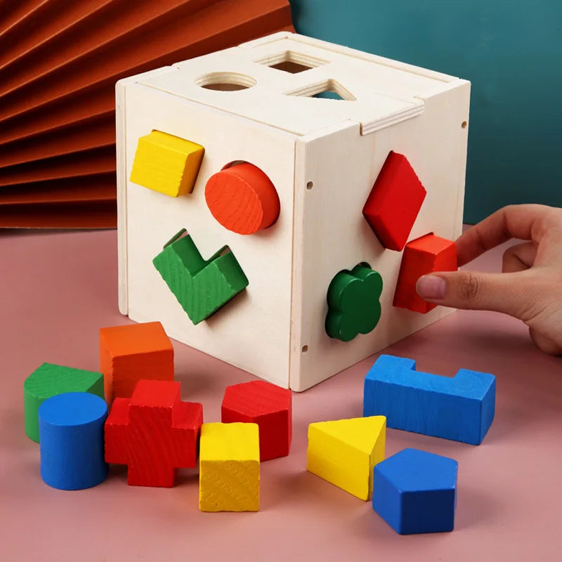 Montessori 15 Hole Intelligence Wooden Blocks Box