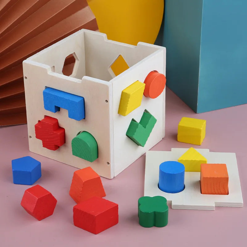Montessori 15 Hole Intelligence Wooden Blocks Box